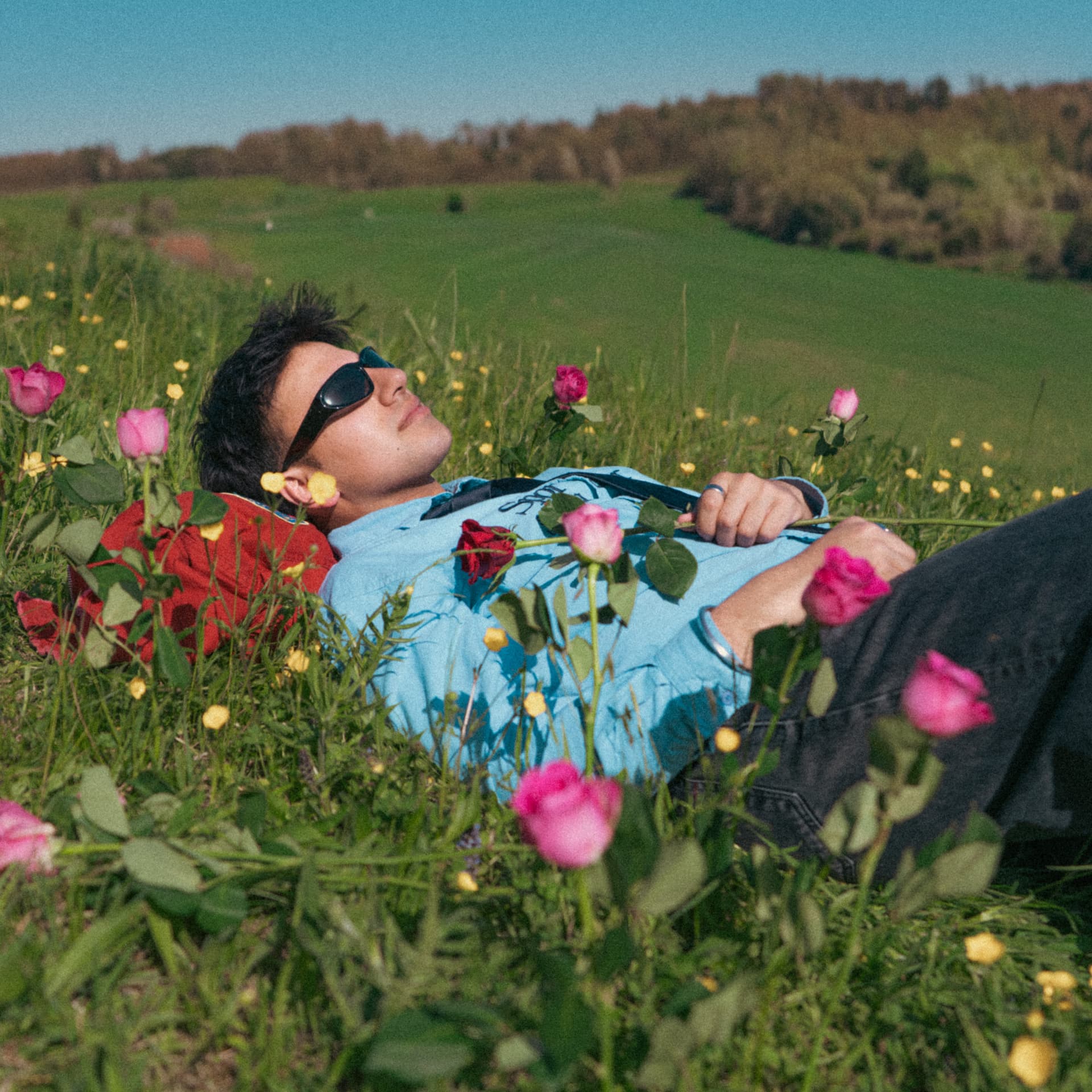 Aakash lying in a field of roses